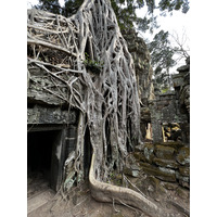 Picture Cambodia Siem Reap Ta Prohm 2023-01 9 - Spring Ta Prohm