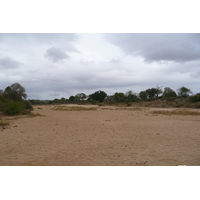 Picture South Africa Kruger National Park Crocodile River 2008-09 35 - City Crocodile River