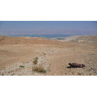 Picture Israel Arad to Dead Sea road 2007-06 51 - Winter Arad to Dead Sea road