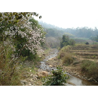 Picture Thailand Pang Mapha to Pai road 2007-02 11 - Accomodation Pang Mapha to Pai road