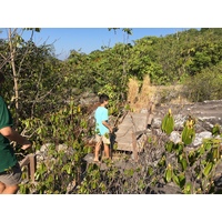 Picture Thailand Phu Hin Rong Kla National Park 2014-12 265 - Summer Phu Hin Rong Kla National Park