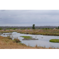 Picture South Africa Kruger National Park Crocodile River 2008-09 37 - To see Crocodile River