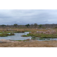 Picture South Africa Kruger National Park Crocodile River 2008-09 32 - Streets Crocodile River