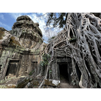 Picture Cambodia Siem Reap Ta Prohm 2023-01 57 - Summer Ta Prohm