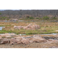 Picture South Africa Kruger National Park Crocodile River 2008-09 52 - Night Crocodile River