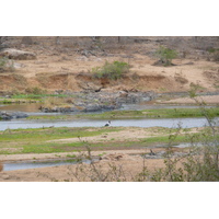 Picture South Africa Kruger National Park Crocodile River 2008-09 28 - Hotel Crocodile River