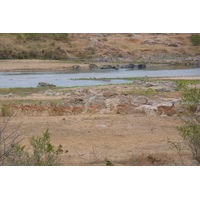 Picture South Africa Kruger National Park Crocodile River 2008-09 42 - Streets Crocodile River