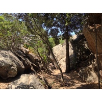 Picture Italy Sardinia Roccia dell'Orso 2015-06 36 - Rain Season Roccia dell'Orso