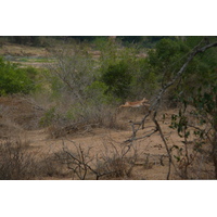 Picture South Africa Kruger National Park Crocodile River 2008-09 20 - Streets Crocodile River