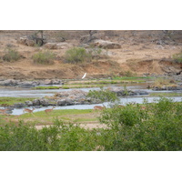 Picture South Africa Kruger National Park Crocodile River 2008-09 12 - Summer Crocodile River