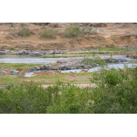 Picture South Africa Kruger National Park Crocodile River 2008-09 9 - Lands Crocodile River