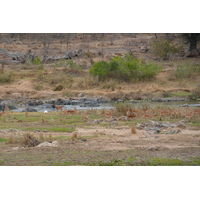 Picture South Africa Kruger National Park Crocodile River 2008-09 0 - Lands Crocodile River