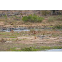 Picture South Africa Kruger National Park Crocodile River 2008-09 7 - Hotel Crocodile River