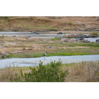 Picture South Africa Kruger National Park Crocodile River 2008-09 70 - City Crocodile River