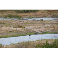 Picture South Africa Kruger National Park Crocodile River 2008-09 8 - Lands Crocodile River