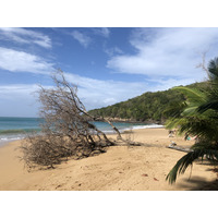 Picture Guadeloupe La Perle Beach 2021-02 43 - Cost La Perle Beach