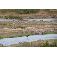 Picture South Africa Kruger National Park Crocodile River 2008-09 1 - Monuments Crocodile River