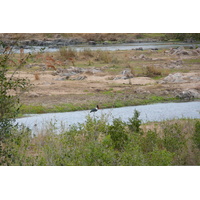 Picture South Africa Kruger National Park Crocodile River 2008-09 6 - SPA Crocodile River