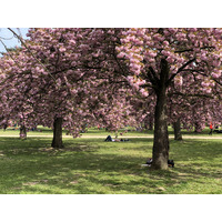 Picture France Parc de Sceaux 2019-04 94 - Street Parc de Sceaux