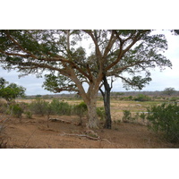 Picture South Africa Kruger National Park Crocodile River 2008-09 24 - Lake Crocodile River