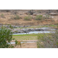 Picture South Africa Kruger National Park Crocodile River 2008-09 21 - Transport Crocodile River