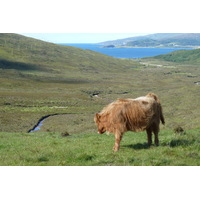 Picture United Kingdom Skye The Cullins 2011-07 79 - Streets The Cullins