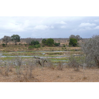 Picture South Africa Kruger National Park Crocodile River 2008-09 71 - Rental Crocodile River