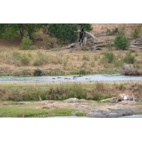 Picture South Africa Kruger National Park Crocodile River 2008-09 74 - Lakes Crocodile River