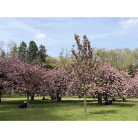 Picture France Parc de Sceaux 2019-04 0 - City View Parc de Sceaux