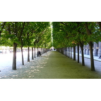 Picture France Paris Palais Royal 2007-08 48 - Lakes Palais Royal