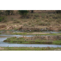 Picture South Africa Kruger National Park Crocodile River 2008-09 55 - Sunrise Crocodile River