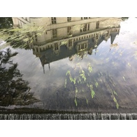 Picture France Azay-le-Rideau Castle 2017-08 41 - Hotel Pools Azay-le-Rideau Castle