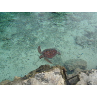 Picture Polynesia Meridien Bora Bora Hotel 2006-04 3 - Lakes Meridien Bora Bora Hotel