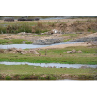 Picture South Africa Kruger National Park Crocodile River 2008-09 60 - Weather Crocodile River