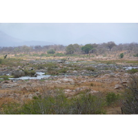 Picture South Africa Kruger National Park Crocodile River 2008-09 58 - SPA Crocodile River