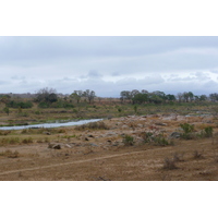 Picture South Africa Kruger National Park Crocodile River 2008-09 69 - Savings Crocodile River