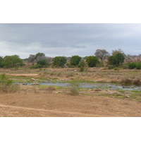 Picture South Africa Kruger National Park Crocodile River 2008-09 65 - Cheap Room Crocodile River