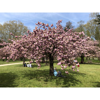 Picture France Parc de Sceaux 2019-04 71 - Waterfall Parc de Sceaux