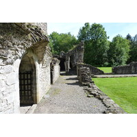 Picture United Kingdom Scotland Inchmahome Priory 2011-07 64 - Spring Inchmahome Priory