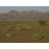 Picture Sultanate of Oman Buraimi to Mahada road 2005-03 19 - Rentals Buraimi to Mahada road