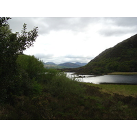 Picture Ireland Kerry Killarney National Park 2004-05 30 - SPA Killarney National Park