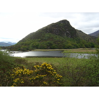 Picture Ireland Kerry Killarney National Park 2004-05 35 - Monuments Killarney National Park