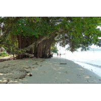 Picture Thailand Ko Chang Klong Prao beach 2011-02 58 - Transport Klong Prao beach