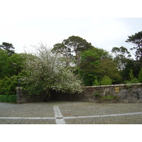 Picture Ireland Kerry Killarney National Park Muckross House 2004-05 43 - Sauna Muckross House