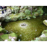 Picture Japan Kyoto Ginkakuji Temple(Silver Pavilion) 2010-06 34 - Monument Ginkakuji Temple(Silver Pavilion)