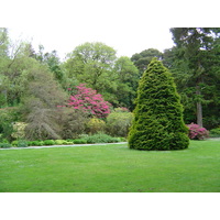 Picture Ireland Kerry Killarney National Park Muckross House 2004-05 39 - Monuments Muckross House