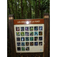 Picture New Caledonia Parc de la Riviere Bleue Le Grand Kaori 2010-05 26 - Waterfalls Le Grand Kaori