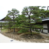 Picture Japan Kyoto Nijo Castle 2010-06 80 - Monument Nijo Castle