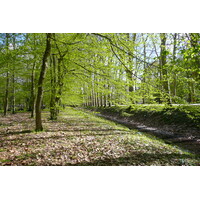 Picture France Chenonceau Castle Gardens of Chenonceau 2008-04 23 - Accomodation Gardens of Chenonceau