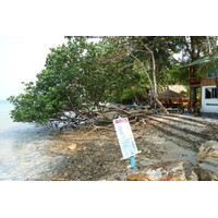 Picture Thailand Ko Chang Klong Prao beach 2011-02 101 - Land Klong Prao beach